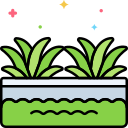 money-icon